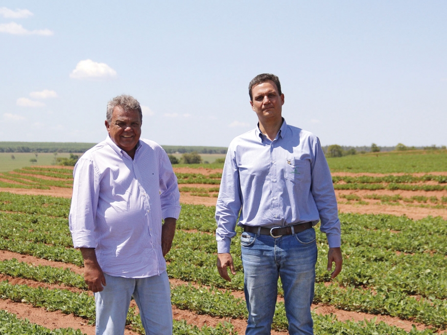 O produtor da região de Tupã, Flávio Pavão, que em sua estratégia integra o amendoim com a pecuária ou mandioca 