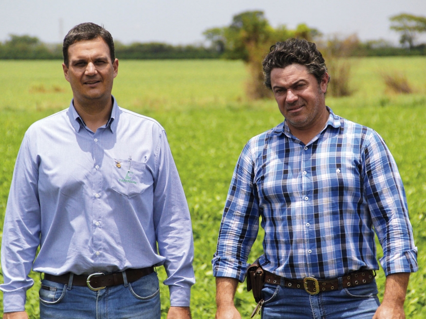 Para se proteger dos efeitos climáticos, que comprometeram o trabalho da temporada anterior, o produtor da região de Barretos, João Paulo Sestari encontrou uma solução junto com a Copercana Seguros 