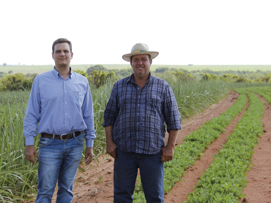 O agrônomo da unidade de grãos da Copercana, Thiago Zarinello, ao lado do produtor de amendoim de Tupã, João Pedro Bidoia, que cultivará este  ano 100% em parceria com a Usina Atena 