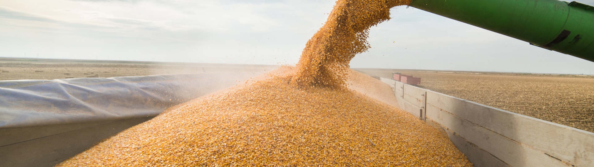 Conab estima novo recorde de 248 milhões de toneladas para produção de grãos