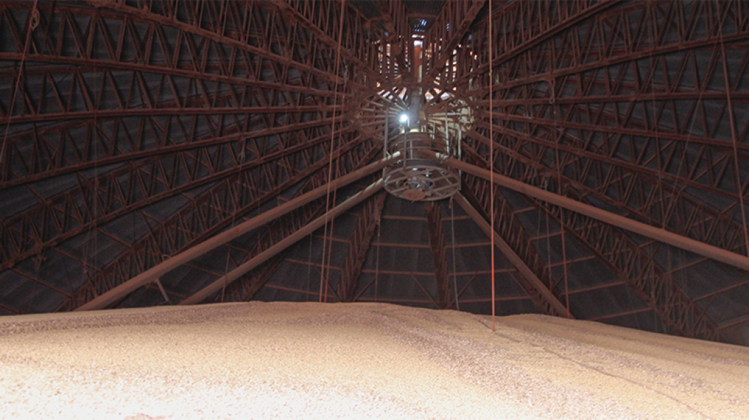 Unidade de recebimento de grãos de Guaíra bate novo recorde