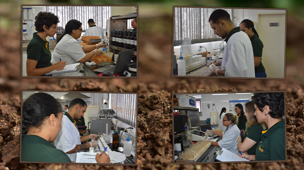 Laboratório da Unidade de Grãos 1 reforça o compromisso com a qualidade ao passar por auditoria interna da ISO 17025