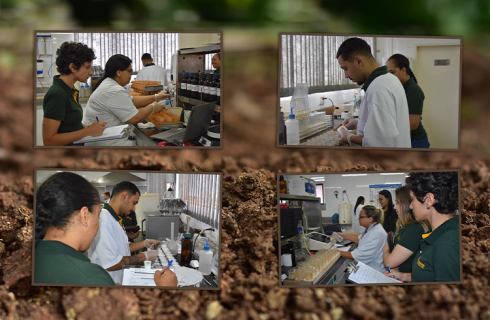 Laboratório da Unidade de Grãos 1 reforça o compromisso com a qualidade ao passar por auditoria interna da ISO 17025
